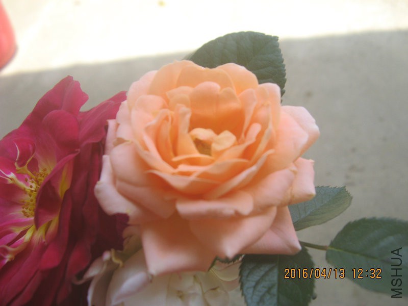���ؼ����廨�ˣ���С�������й������ء�