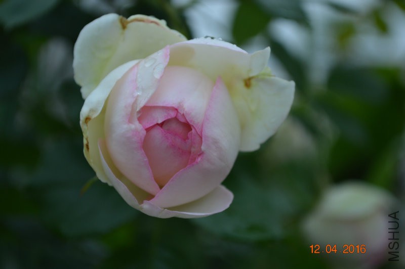 DSC_0023.JPG