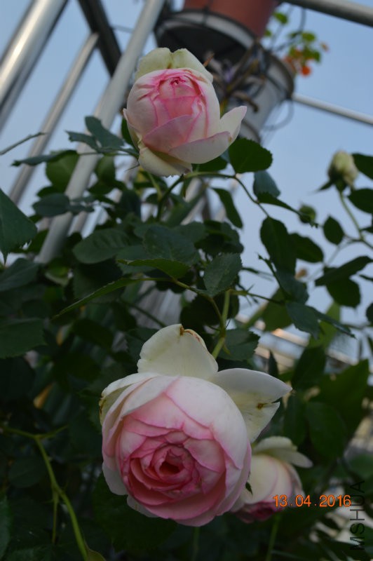 DSC_0075.JPG