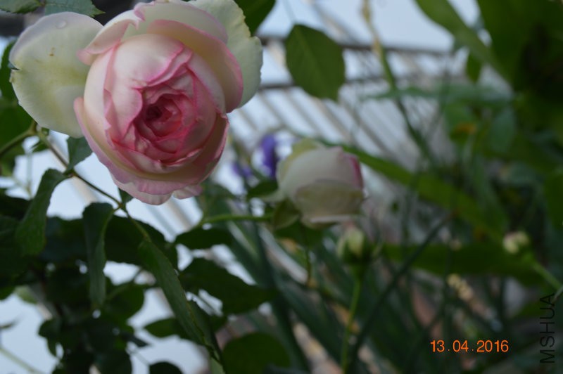 DSC_0076.JPG