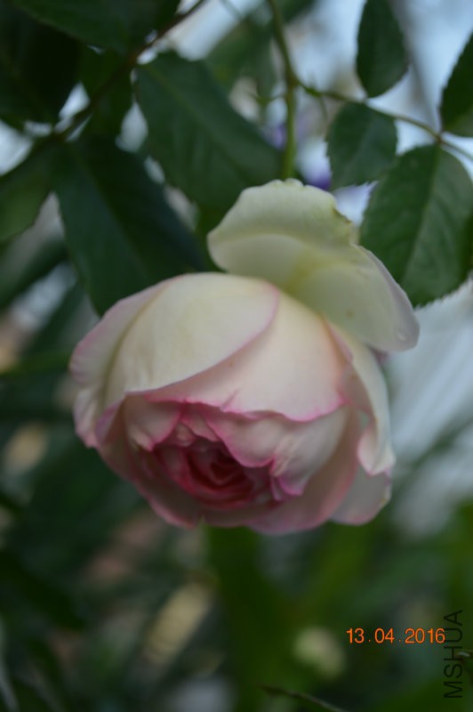DSC_0089.JPG