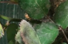 ��Ļ���� 2016-04-13 ����10.42.36.png