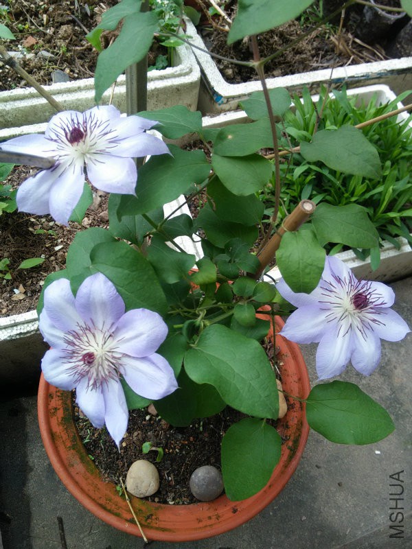 IMG20160412155406.jpg