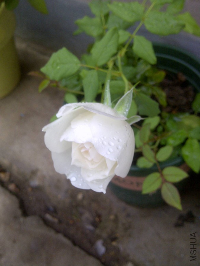IMG-20150904-00889.jpg