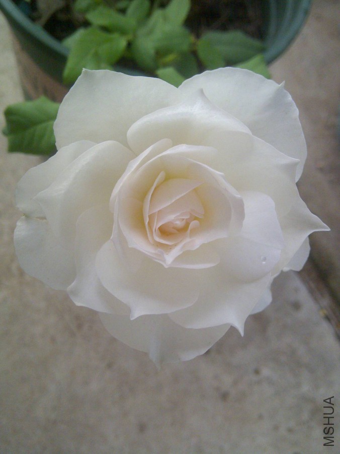 IMG-20150902-00873.jpg