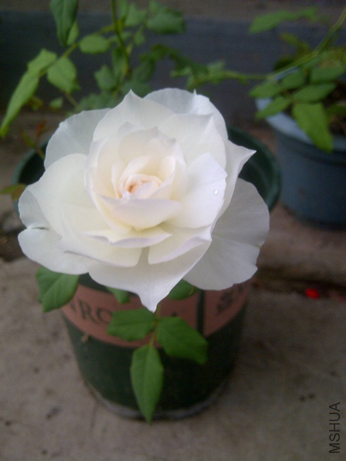 IMG-20150902-00874.jpg