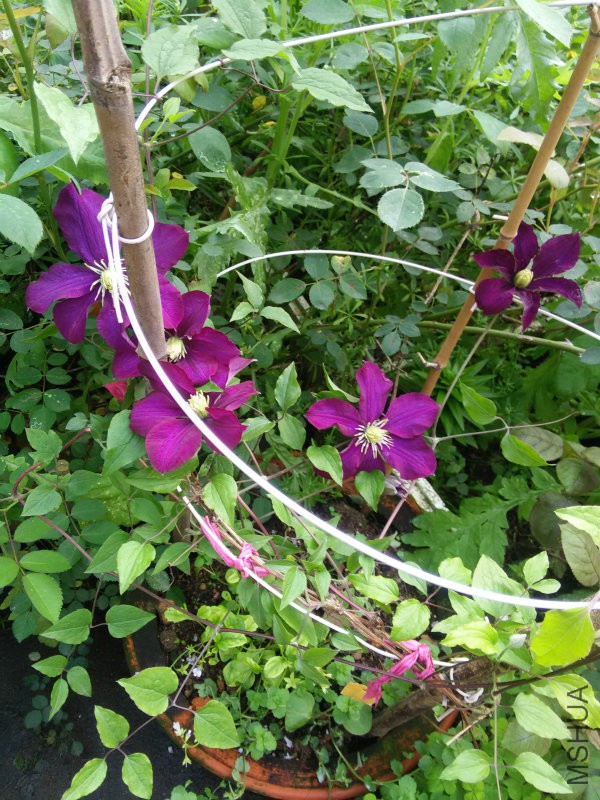 IMG20160413145109.jpg