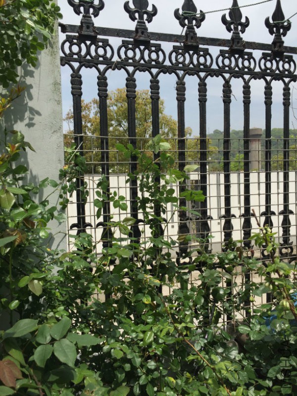 ���ڵ�����