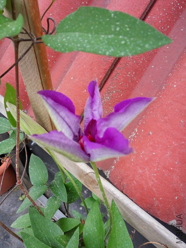 IMG_20160414_065210_HDR.jpg