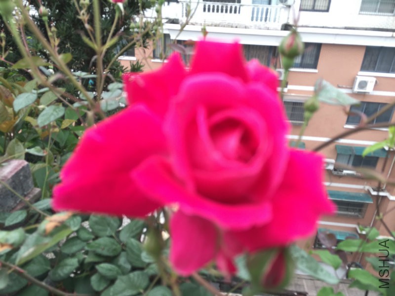 IMG_3981.JPG