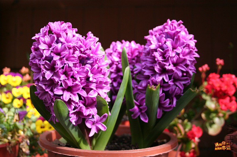 ��Ƭ 013_����.jpg