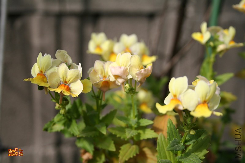 ��Ƭ 006_����.jpg