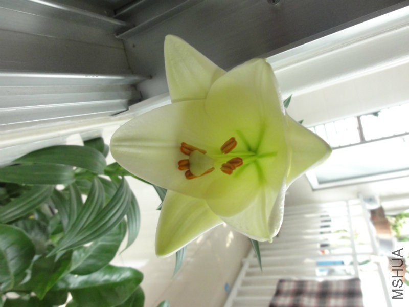 DSC02345.JPG