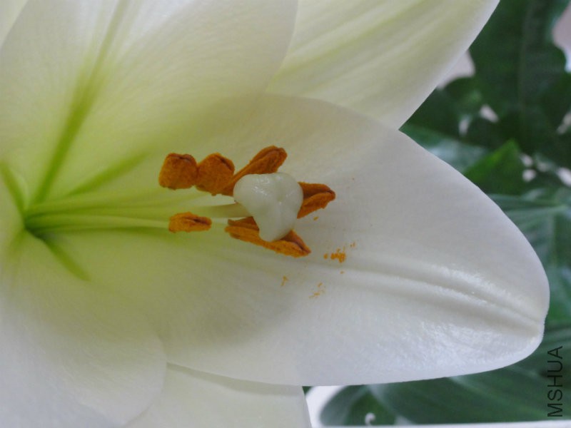 DSC02350.JPG