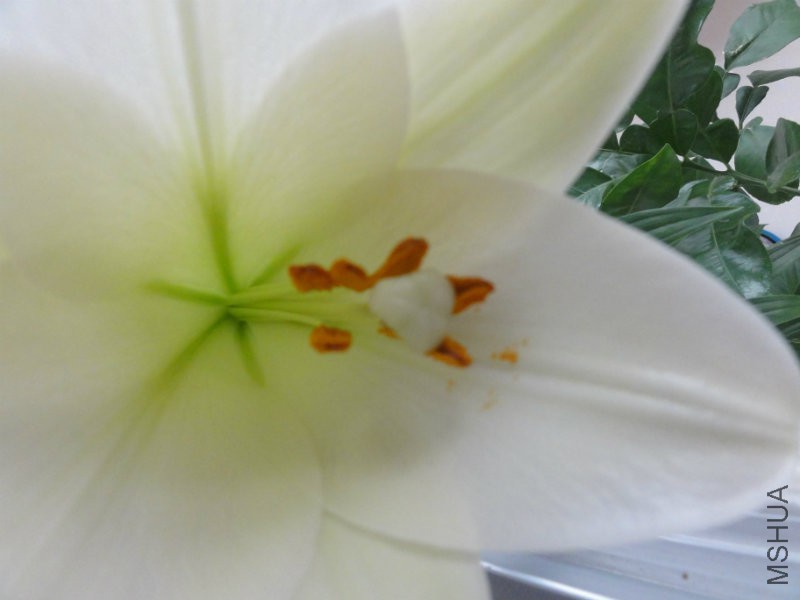 DSC02351.JPG