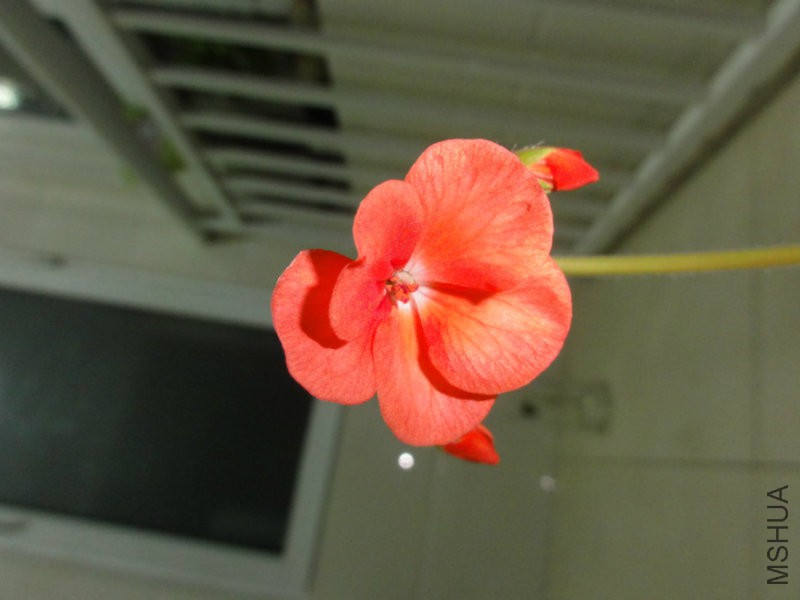 DSC02191.JPG