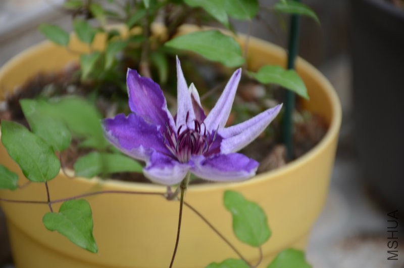 DSC_3320.JPG