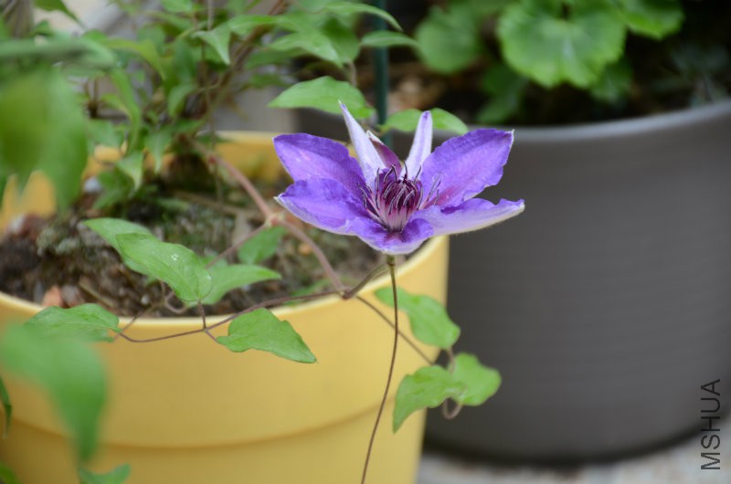 DSC_3353.JPG