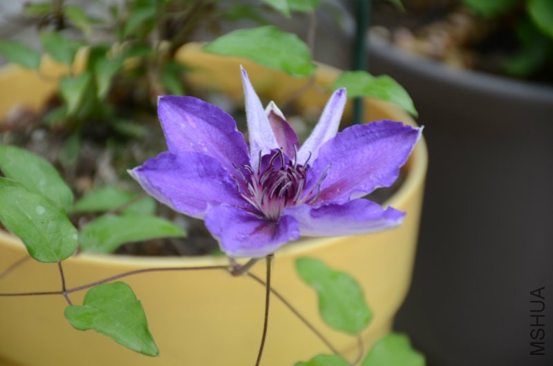 DSC_3354.JPG