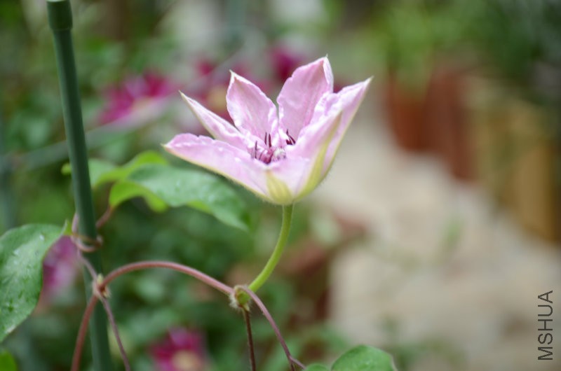 DSC_3369.JPG
