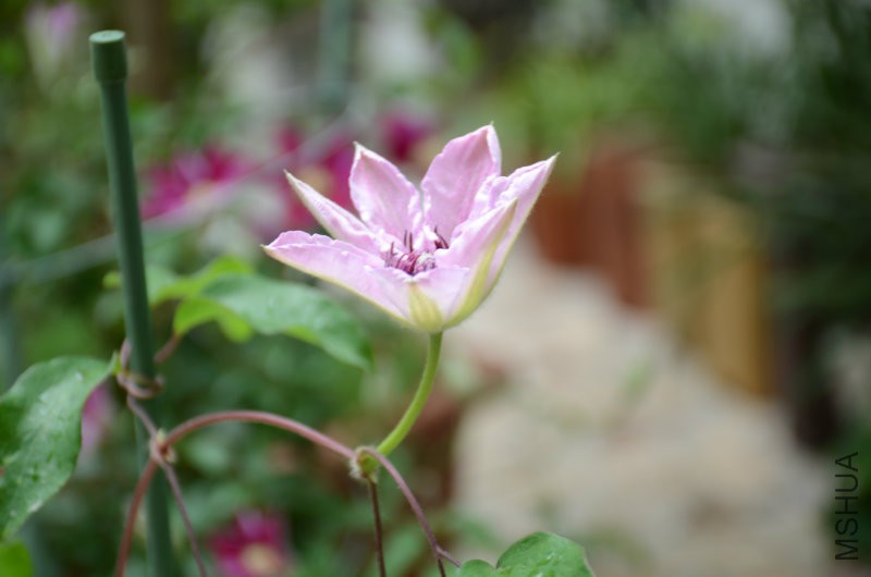 DSC_3371.JPG