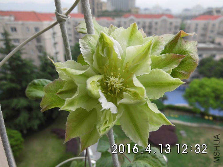 001_����.jpg