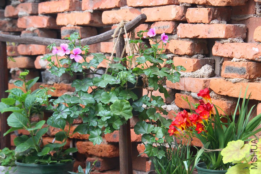 IMG_9742_����1 .jpg