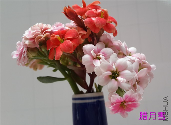 QQͼƬ20160415142119_����_����.jpg