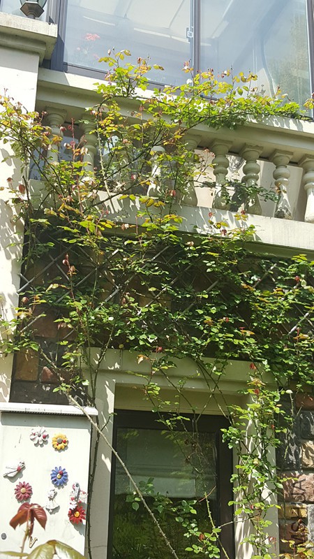 �ȴ����ŵĴ���  ��.jpg