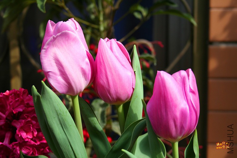 ��Ƭ 021_����.jpg