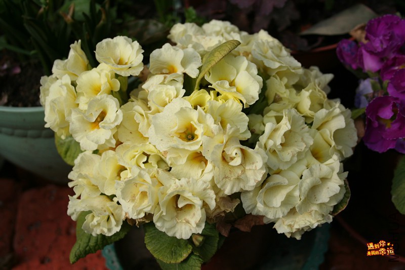 ��Ƭ 054_����.jpg