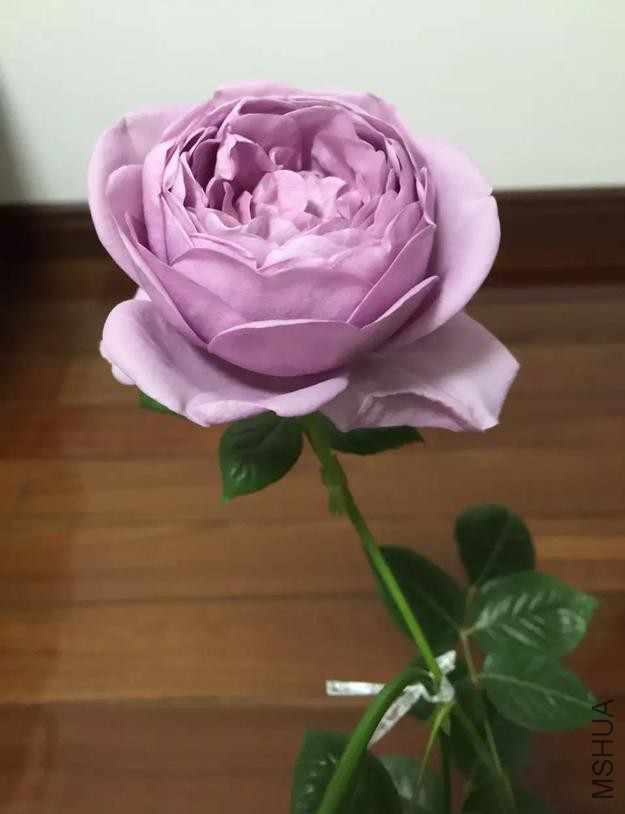 QQ�������ͼ_20160415163539_CEDDA71B2BCB492dB35DC549C84743A2.jpg