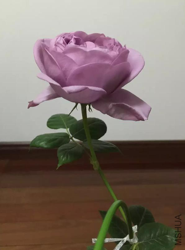 QQ�������ͼ_20160415163524_9731F4F4BD0F4d95A92D9C40F082A2AE.jpg