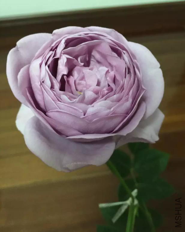 QQ�������ͼ_20160415160258_A0EA3F0F71664169AAE2D6598D125920.jpg