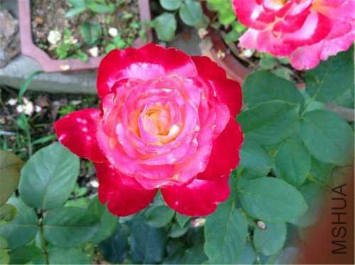 2015-06-12 172853.jpg