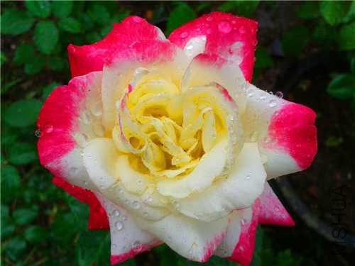 2015-10-01 09.06.58 (1).jpg