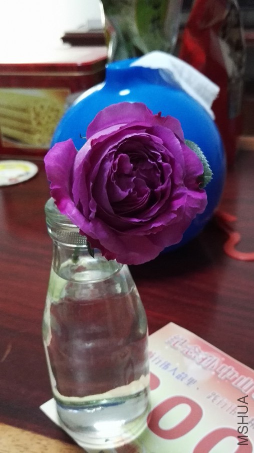 IMG_20160415_184311.jpg