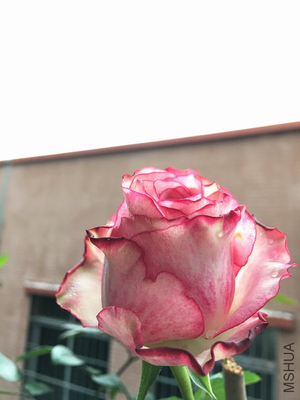 �����һ�ڰ�