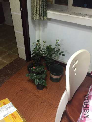 image.jpeg