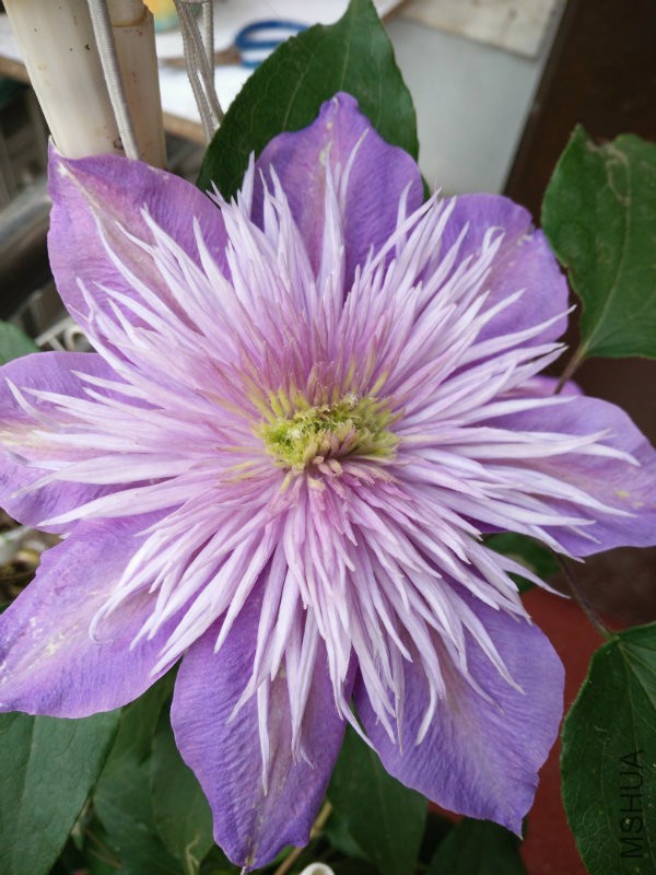 IMG20160414074853.jpg