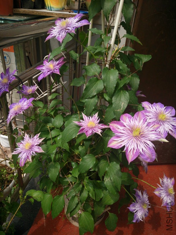 IMG20160414125938.jpg