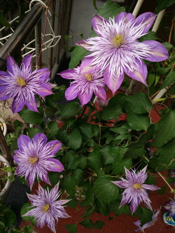IMG20160415135630.jpg