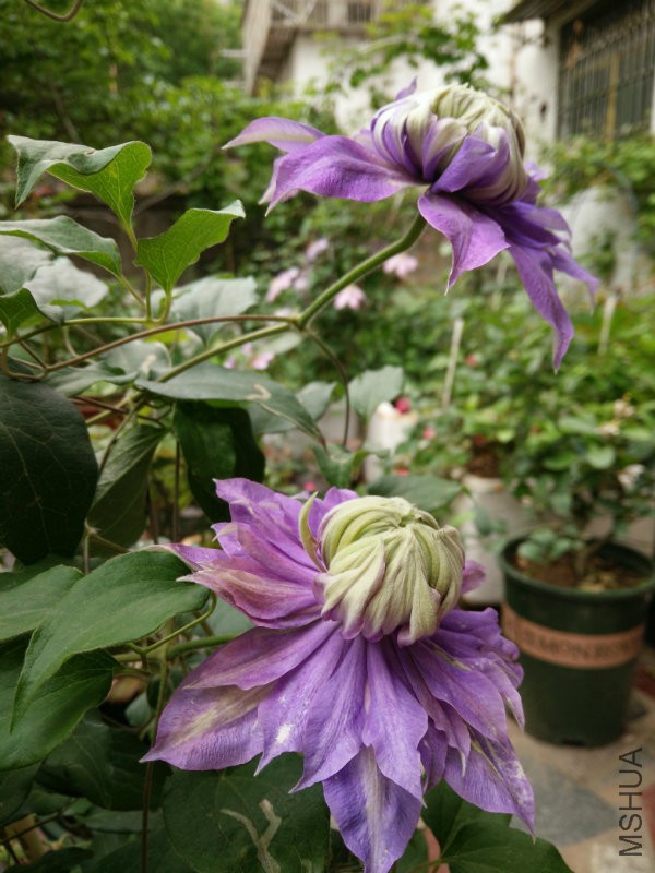 IMG20160415132818.jpg