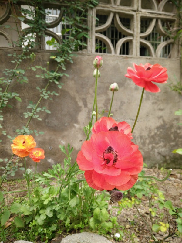 IMG20160411142646.jpg