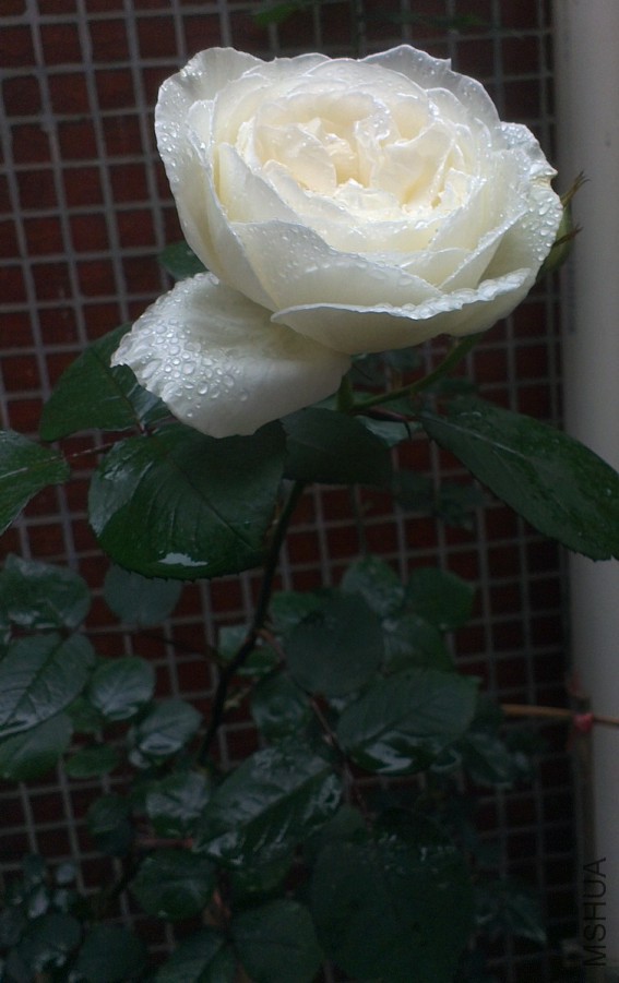 IMAG2422.jpg
