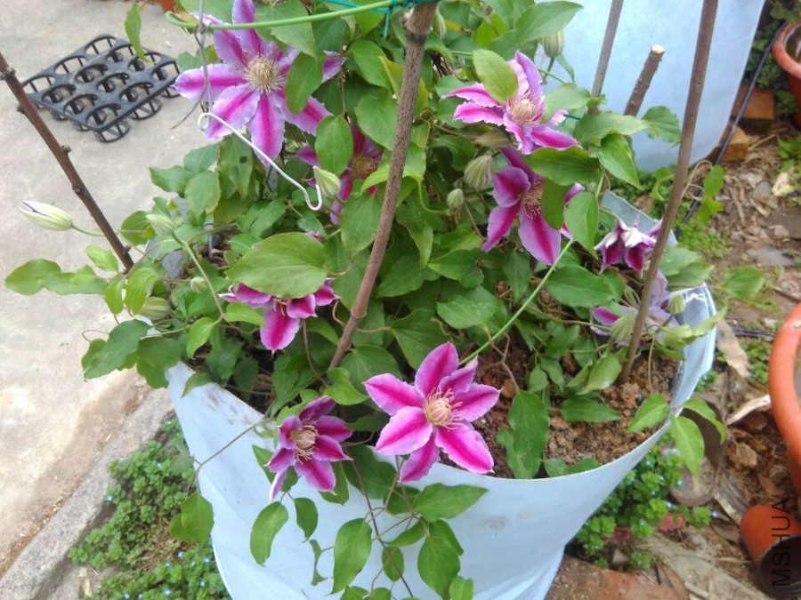 QQͼƬ20160416111625.jpg