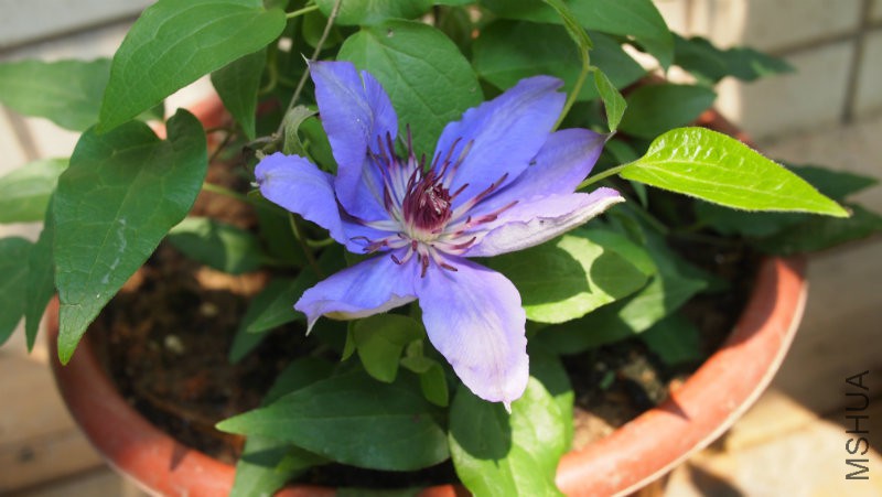 �������