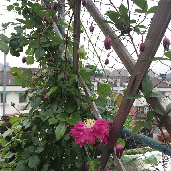 С��IMG_7634.jpg