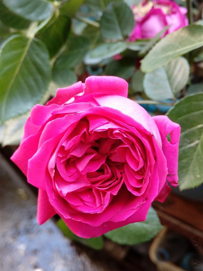 a (13).jpg