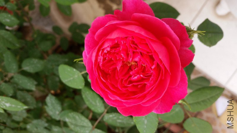 20160416_172216.jpg